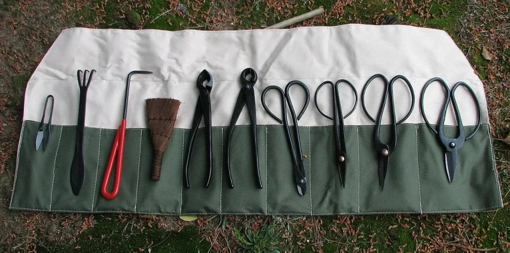 Les outils de base : ciseaux, pince coupante concave, crochet à racines